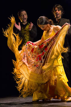Flamenco Biënnale